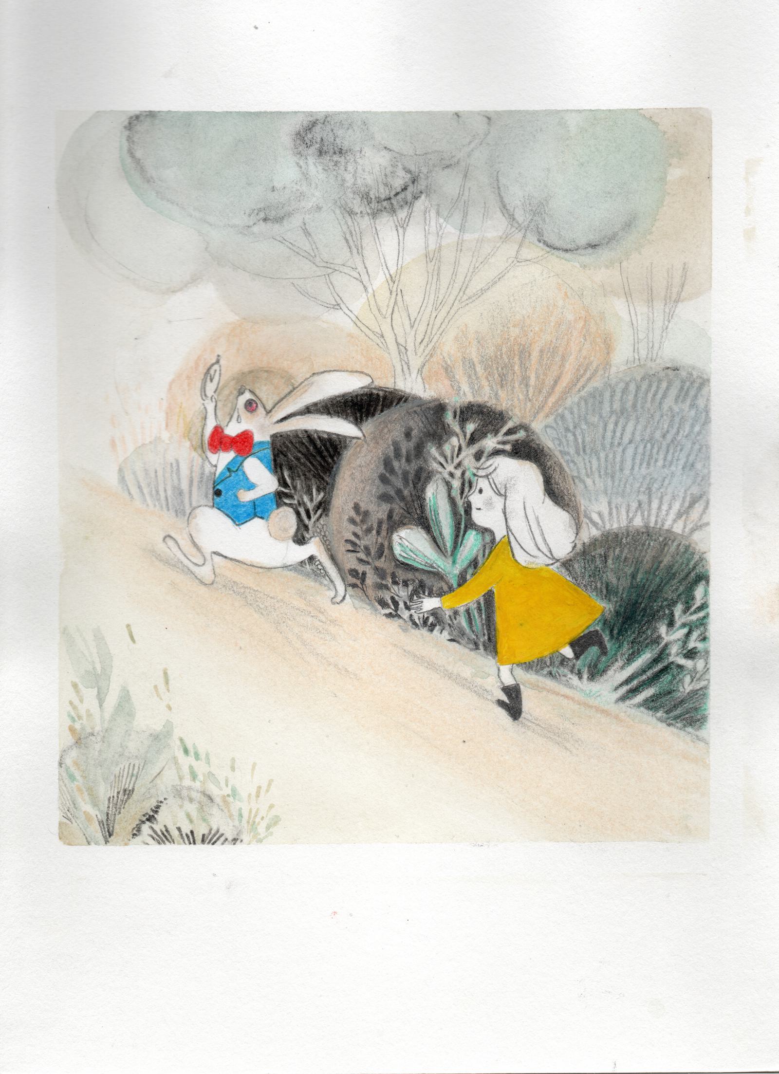 When Alice meet a rabbit
