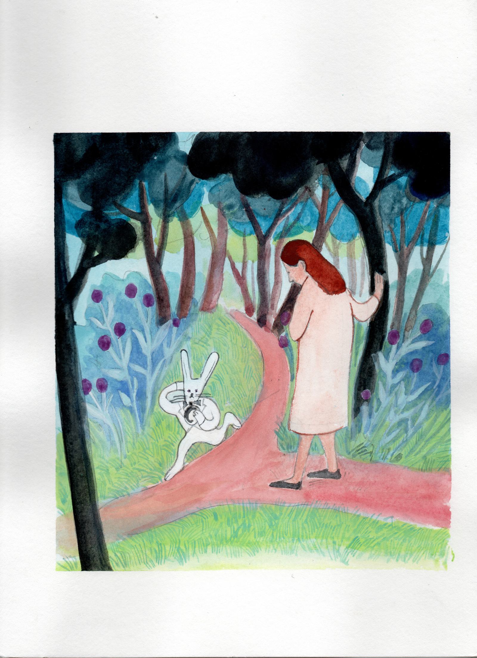 When Alice meet a rabbit